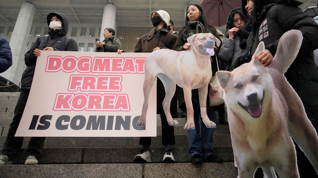Tierschützer in Seoul nehmen an einer Protestkundgebung zur Unterstützung des Gesetzes zum Verbot von Hundefleisch vor der Nationalversammlung teil. 