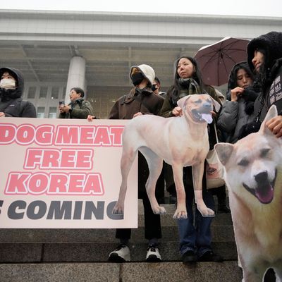 In Südkorea ist der Verzehr von Hundefleisch künftig verboten. 