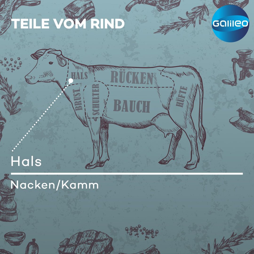 Teile vom Rind: Welcher Cut wird aus welchem Fleischteil gewonnen? 