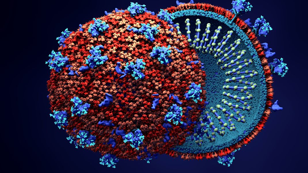 Die neue Coronavirusvariante BA.2.86 weist eine Vielzahl an Mutationen auf. Bemerkenswert, aber noch nicht bedrohlich.