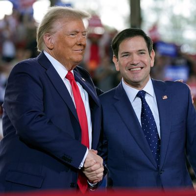 4. November 2024, Raleigh, North Carolina, USA: Donald Trump begrüßt Senator Marco Rubio (Florida) während einer Wahlkampfveranstaltung.
