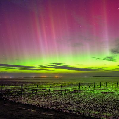 Polarlichter sind am Himmel über Schillig (Kreis Friesland) in Niedersachsen zu sehen.