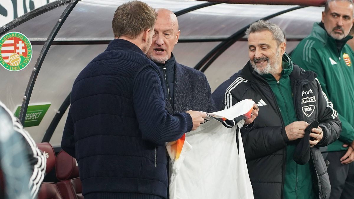 Julian Nagelsmann und Ungarns Trainer Marco Rossi