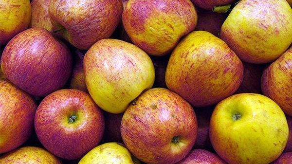 Es gibt mehr als 30.000 Apfelsorten weltweit.