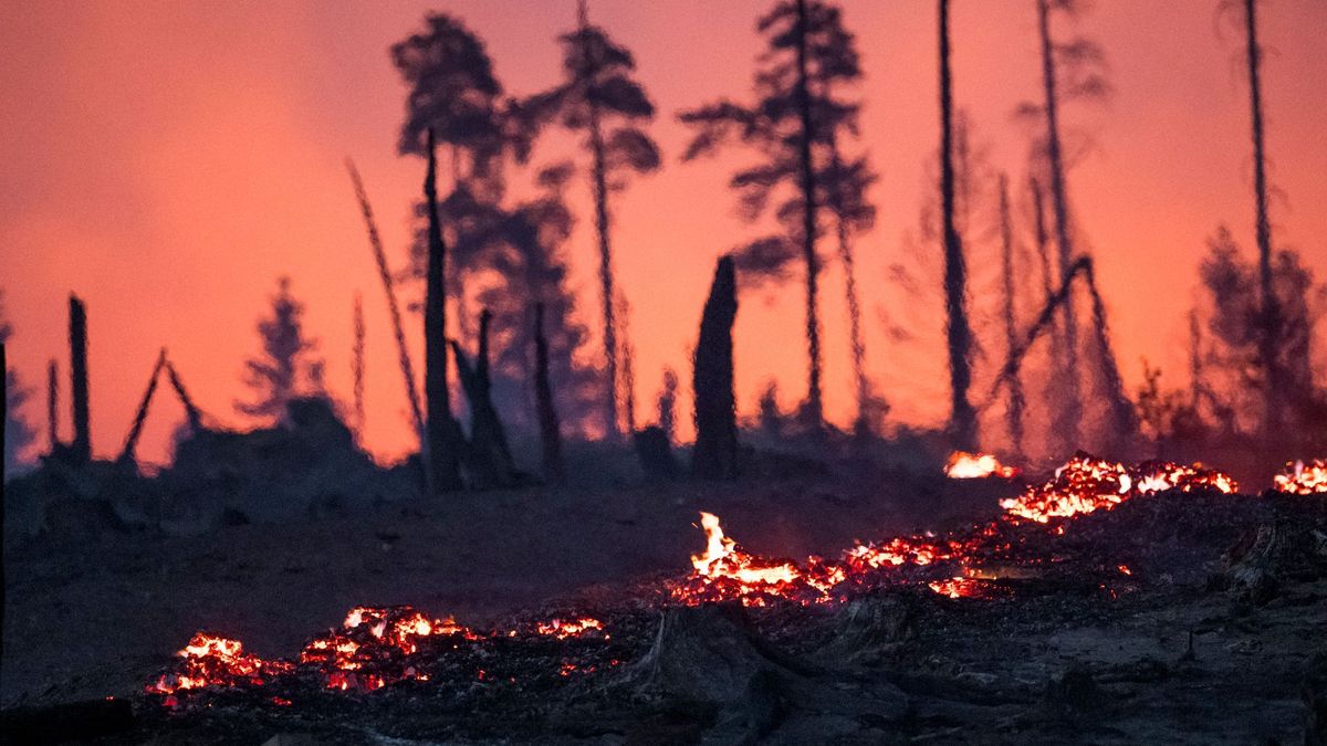 Waldbrand in Thüringen