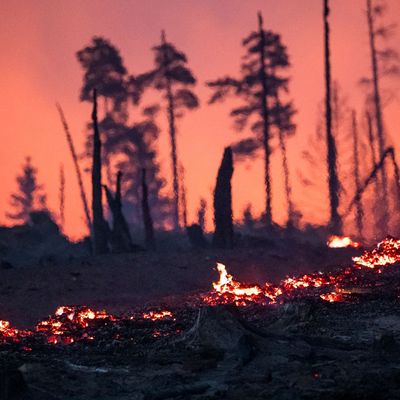 Waldbrand in Thüringen