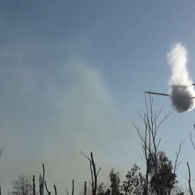 Ein Löschflugzeug wirft Wasser ab über einem Waldbrand in einem munitionsbelasteten Gebiet bei Jüterbog.