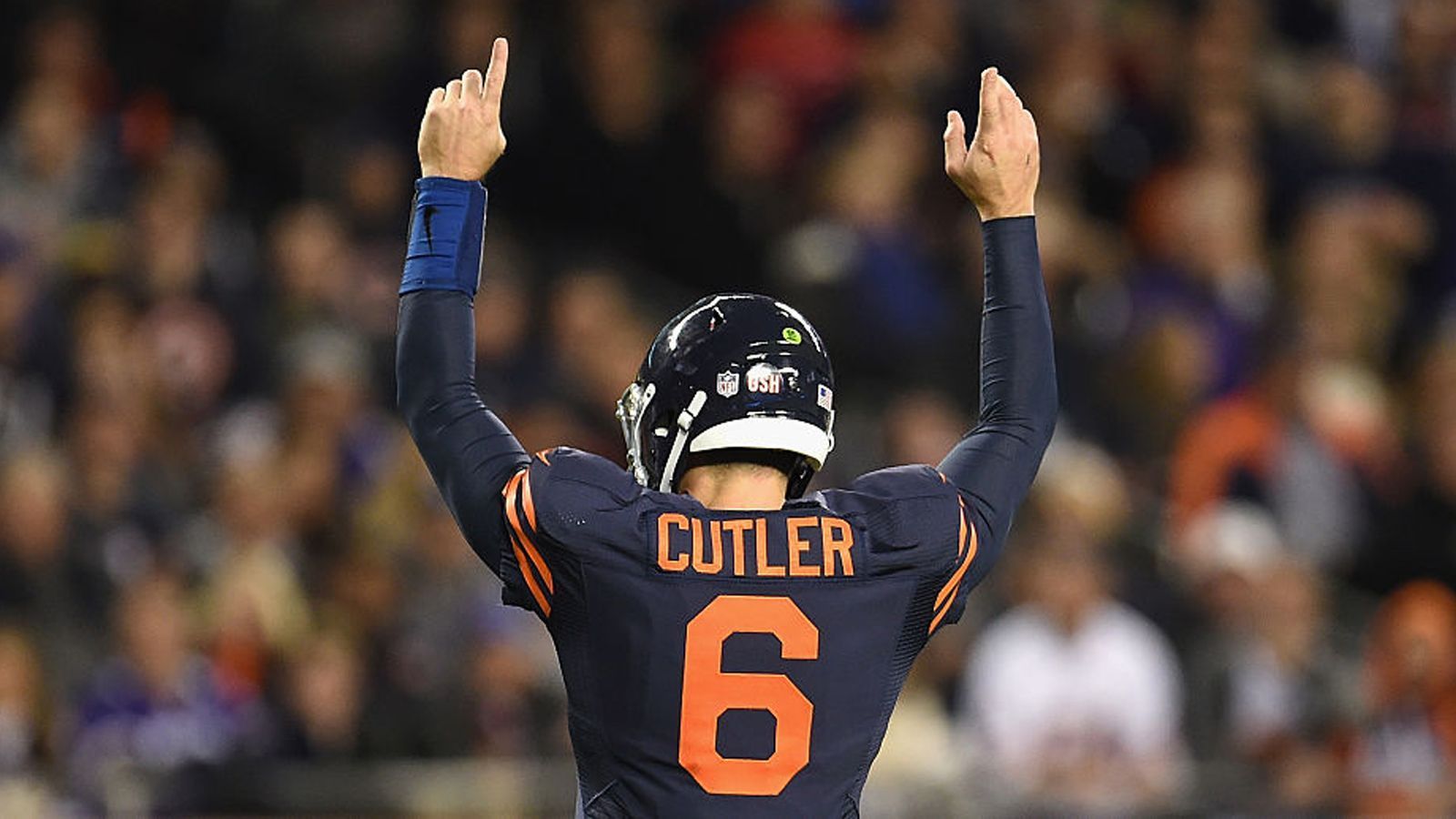 
                <strong>Chicago Bears</strong><br>
                Jay Cutler (154 Touchdown-Pässe)         
              