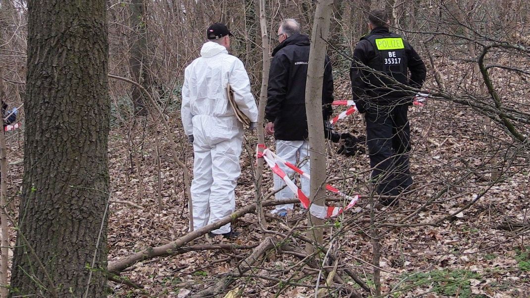 In einem Berliner Park wurde ein abgetrennter Oberschenkel eines Menschen gefunden. Ein Tötungsdelikt kann derzeit nicht ausgeschlossen werden.