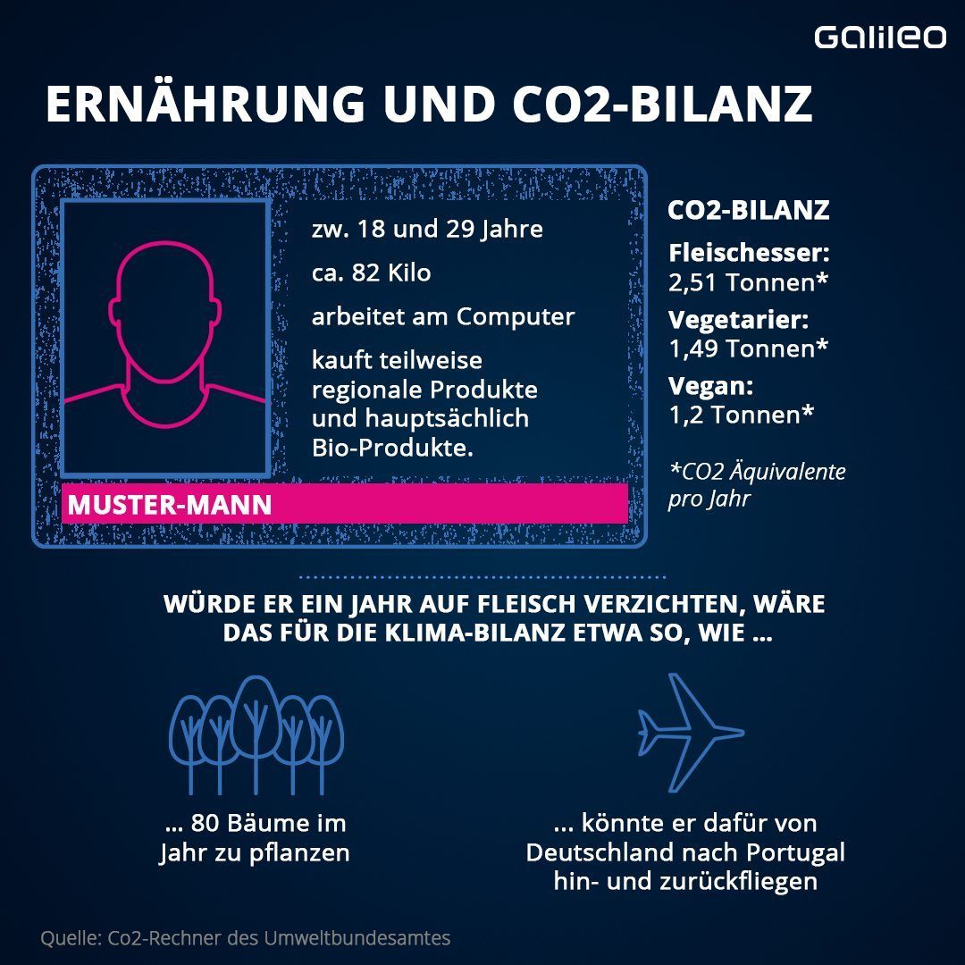 So wirkt sich die Ernährung auf die CO2-Bilanz aus. 