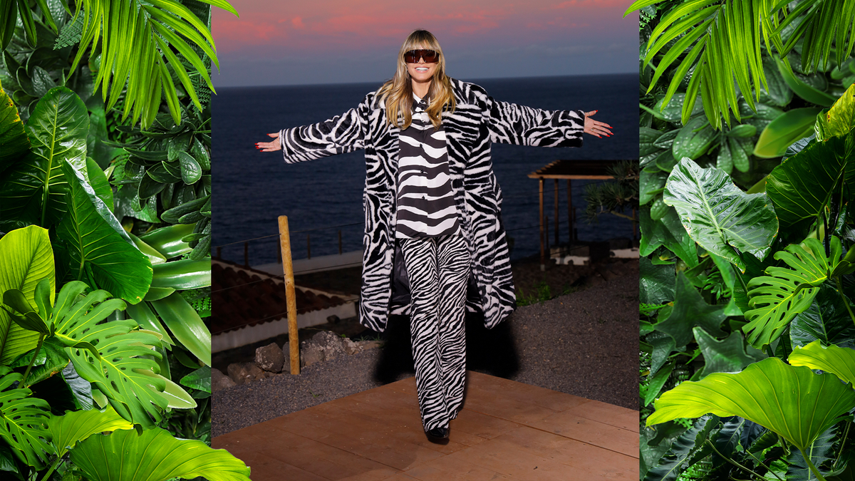 Heidi Zebra