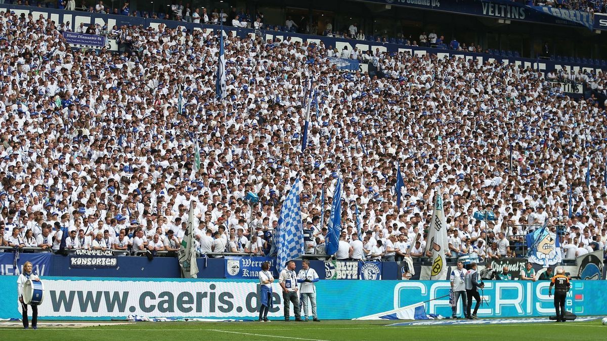 Schalke Fans