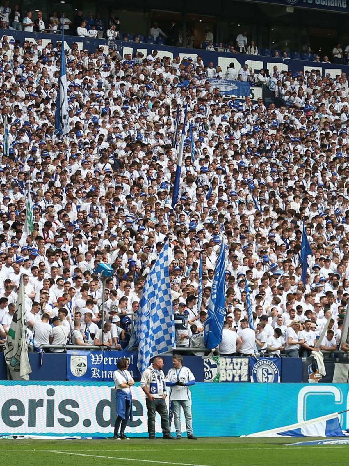 Schalke Fans
