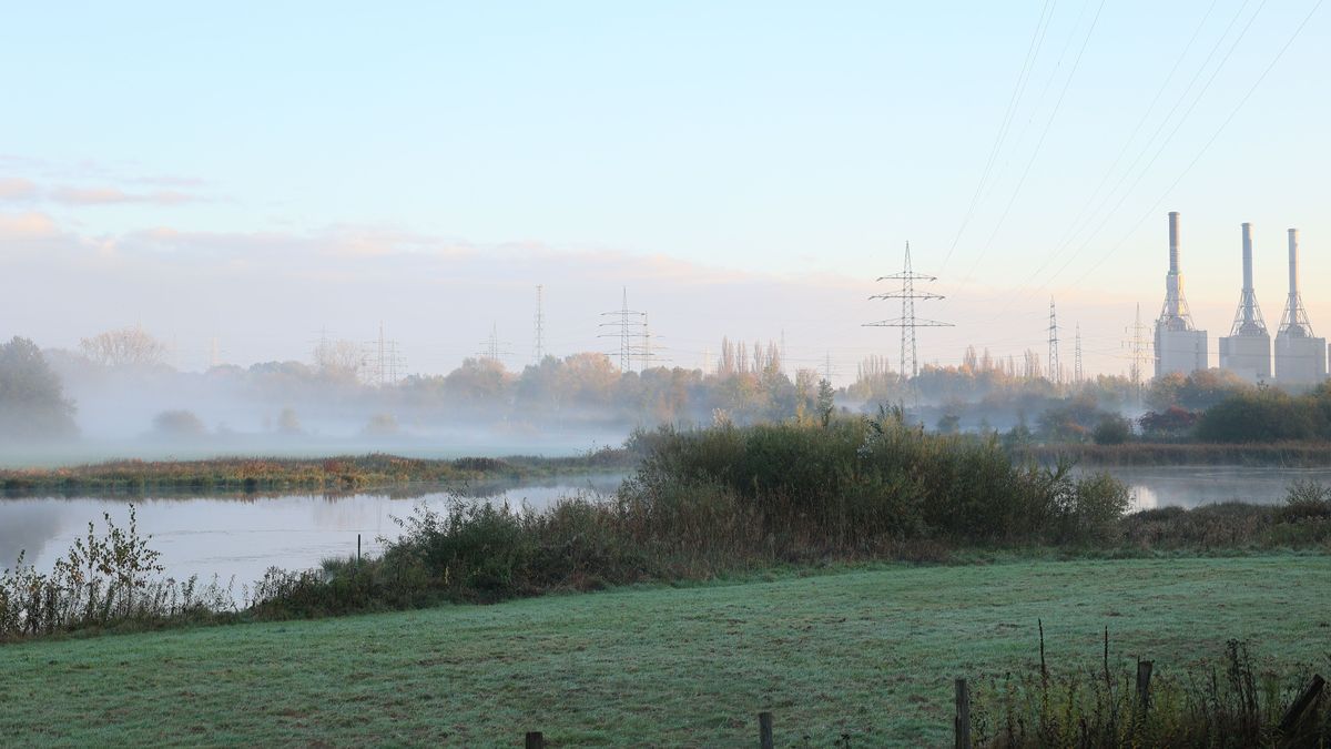 Sonnenaufgang mit Frühnebel am Datteln-Hamm Kanal bei Werne im Münsterland