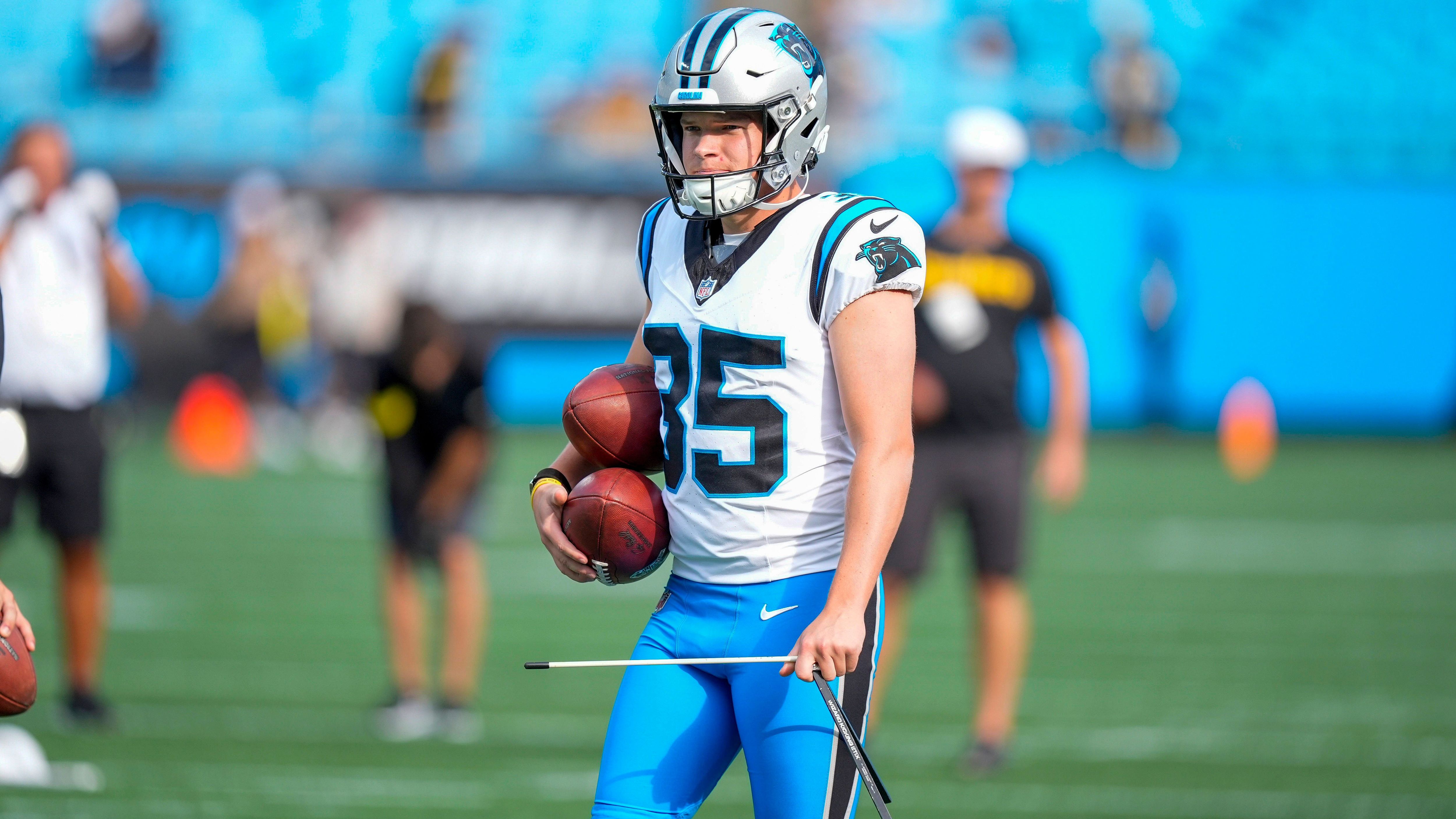 <strong>Carolina Panthers</strong><br>Starter: Ryan Fitzgerald