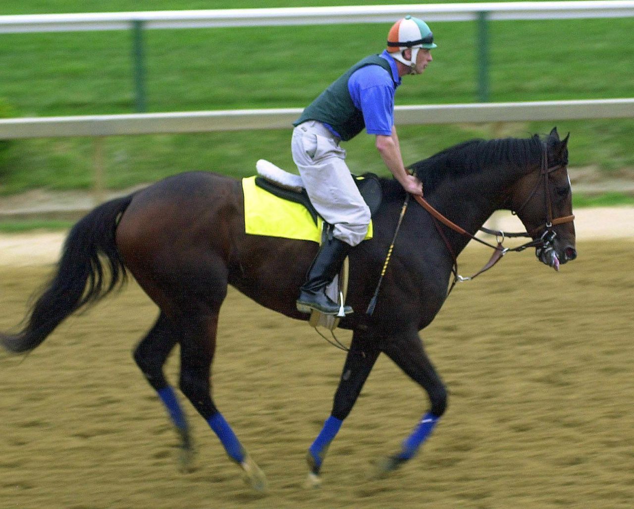 Rennpferd: Fusaichi Pegasus erbrachte nach seinem Sieg beim Kentucky Derby im Jahr 2000 schon 65,3 Millionen Euro. Dabei richtet sich sein Wert nach den gewonnenen Rennen, aber vor allem war er danach auch als Zuchthengst jede Menge wert. 1997 geboren, befindet er sich schon lange im Rennpferd-Ruhestand. Streitig machte ihm seinen Ruf der irische Deckhengst Galileo. Sein Wert belief sich aber nur nach Schätzungen auf 210 Mill