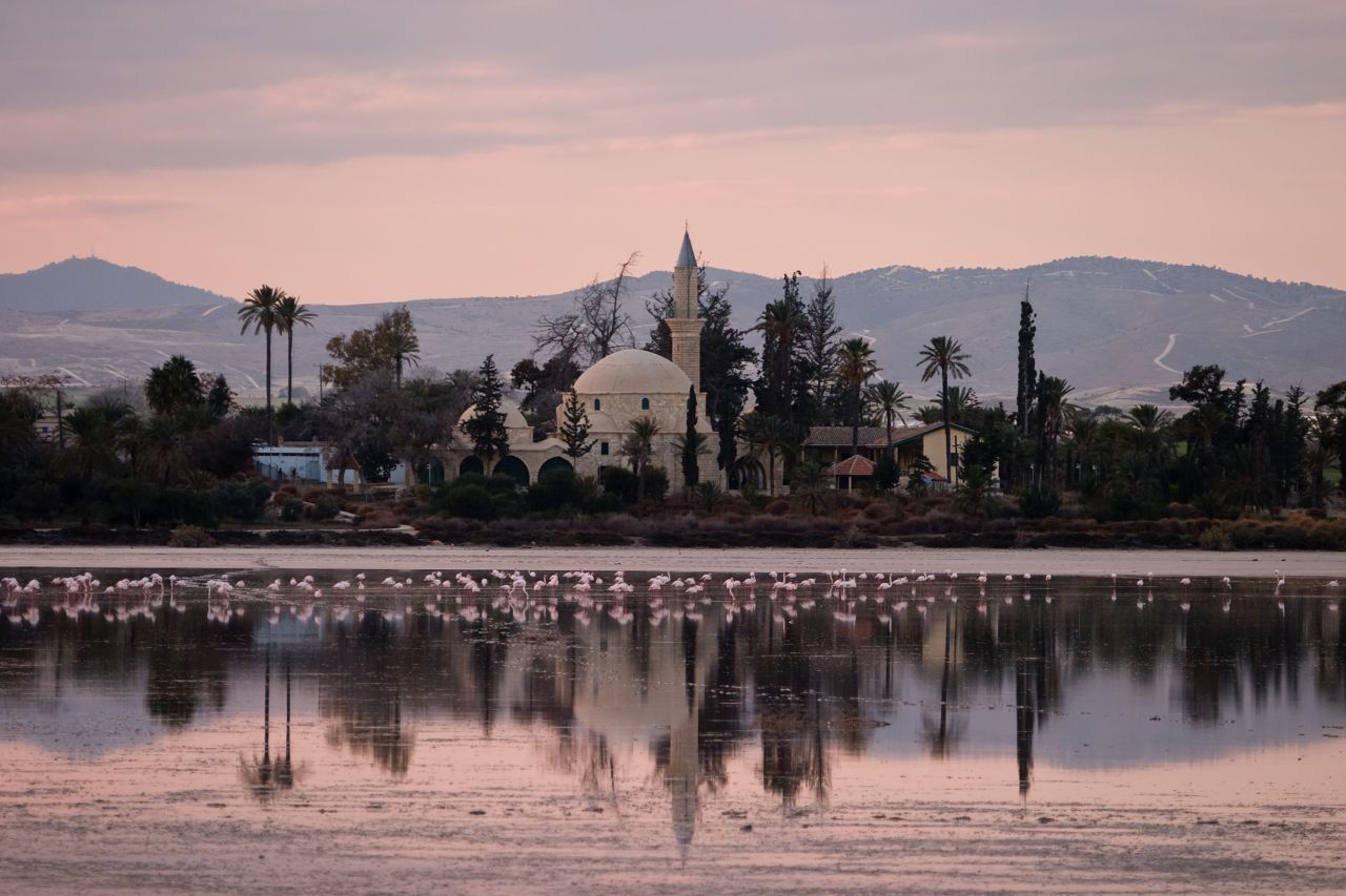 Think pink! Ja, auf Zypern lassen sich Flamingos bestaunen – zwischen November und März. Dann tummeln sich etwa 400 Zugvogelarten rund um die Salzseen von Larnaka. Im Sommer, wenn das Wasser verdampft und sich Salzkrusten bilden, ziehen die Vögel von der Südküste Zyperns zurück in ihre Heimat. Ebenfalls sehenswert: die Moschee Hala Sultan Tekke. An der Strandpromenade spaziert man am besten abends entlang, wenn die Sonne unte