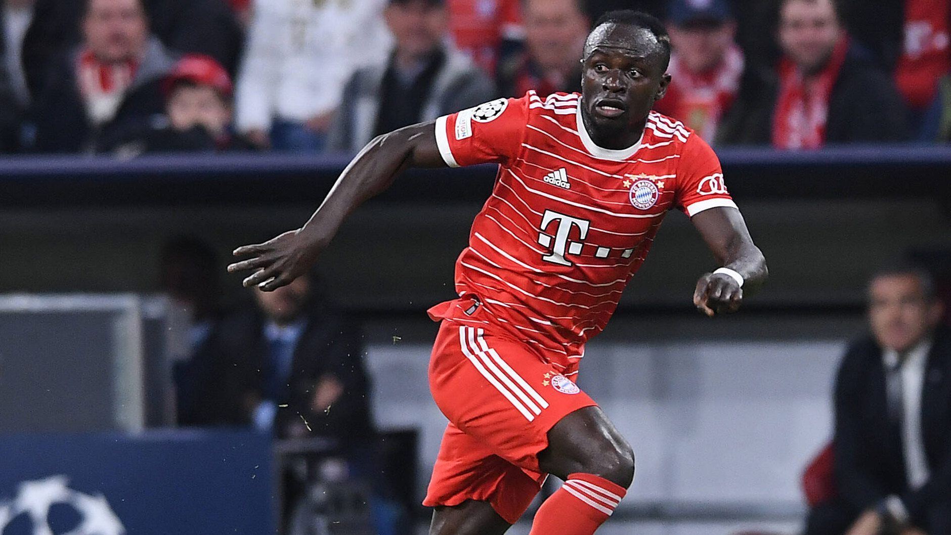 
                <strong>Sadio Mane beim FC Bayern: Eine Frage des Alters?</strong><br>
                "Er sucht sich beim FC Bayern immer noch selbst", sagte Kahn gegenüber "Sky". Die Frage ist nur: Wie lange noch? Tuchel beteuerte zuletzt noch öffentlich seine Geduld mit dem 31-Jährigen. "Auch im Alter benötigt es immer Zeit, dass man sich akklimatisieren muss. Stürmer wie Sadio sind sensibel. Es geht auch um Geduld. Meistens hilft ein Tor." Und doch scheint es so, als hätten Jürgen Klopp und der FC Liverpool schon etwas geahnt, denn sonst hätten sie den Rechtsfuß gewiss nicht so einfach hergegeben - verdienter Spieler hin oder her. Im Kalenderjahr 2023 ist Mane jedenfalls noch ohne Treffer.
              