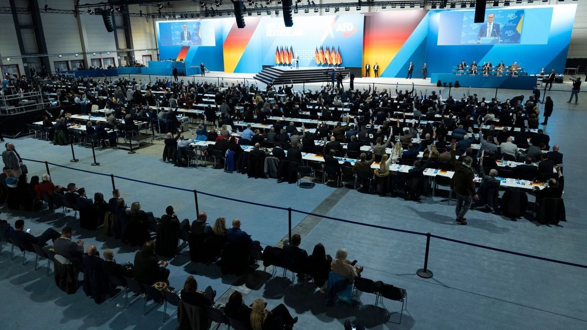 AfD-Bundesparteitag in Riesa