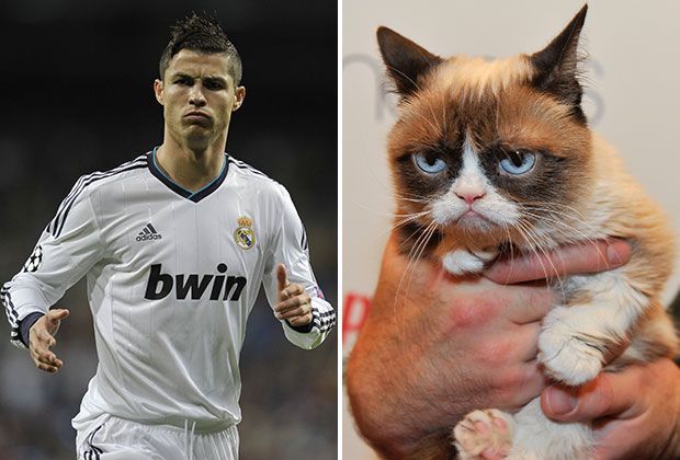 
                <strong>Das Duell der Schlechtgelaunten</strong><br>
                Spaß ist ab sofort verboten. Cristiano Ronaldo scheint schon einmal den richtigen Grumpy-Cat-Blick zu üben, denn die grimmige Katze aus Amerika überflügelt ihn in Sachen Jahresverdienst momentan deutlich.
              