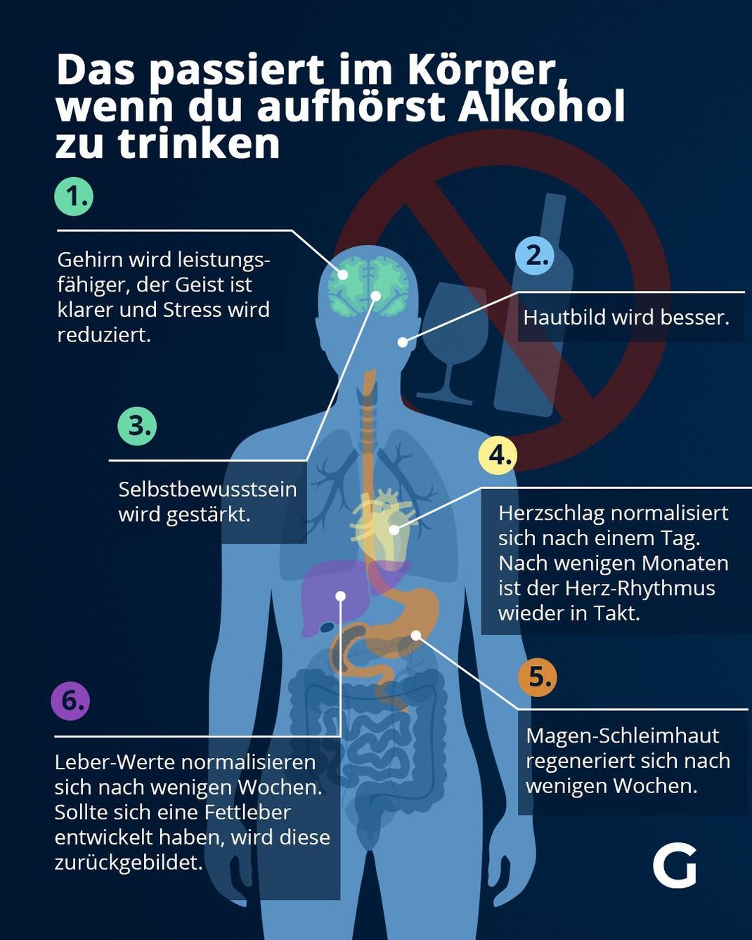 Antworten auf die Frage: Wieso trinkst du keinen Alkohol?