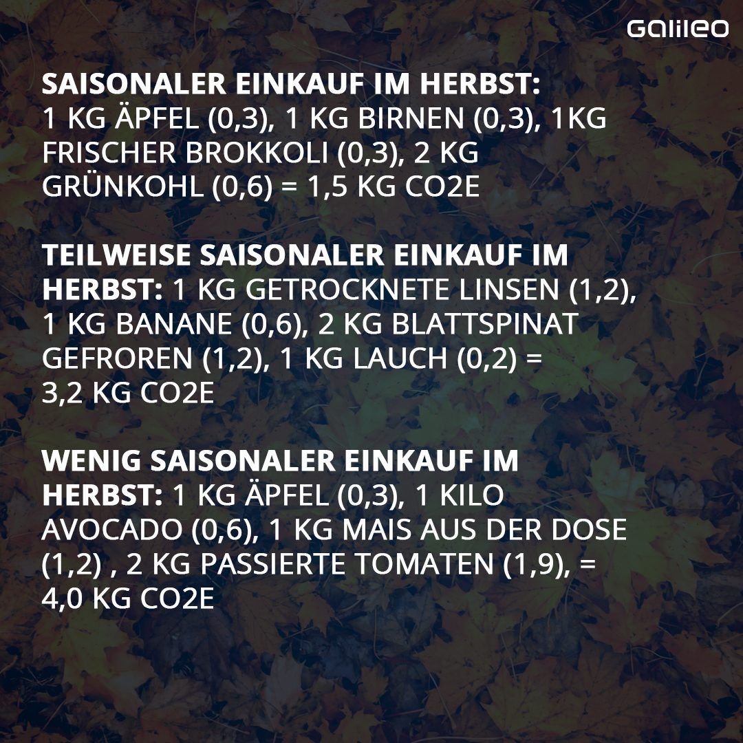 Saisonales Einkaufen schont die Umwelt.