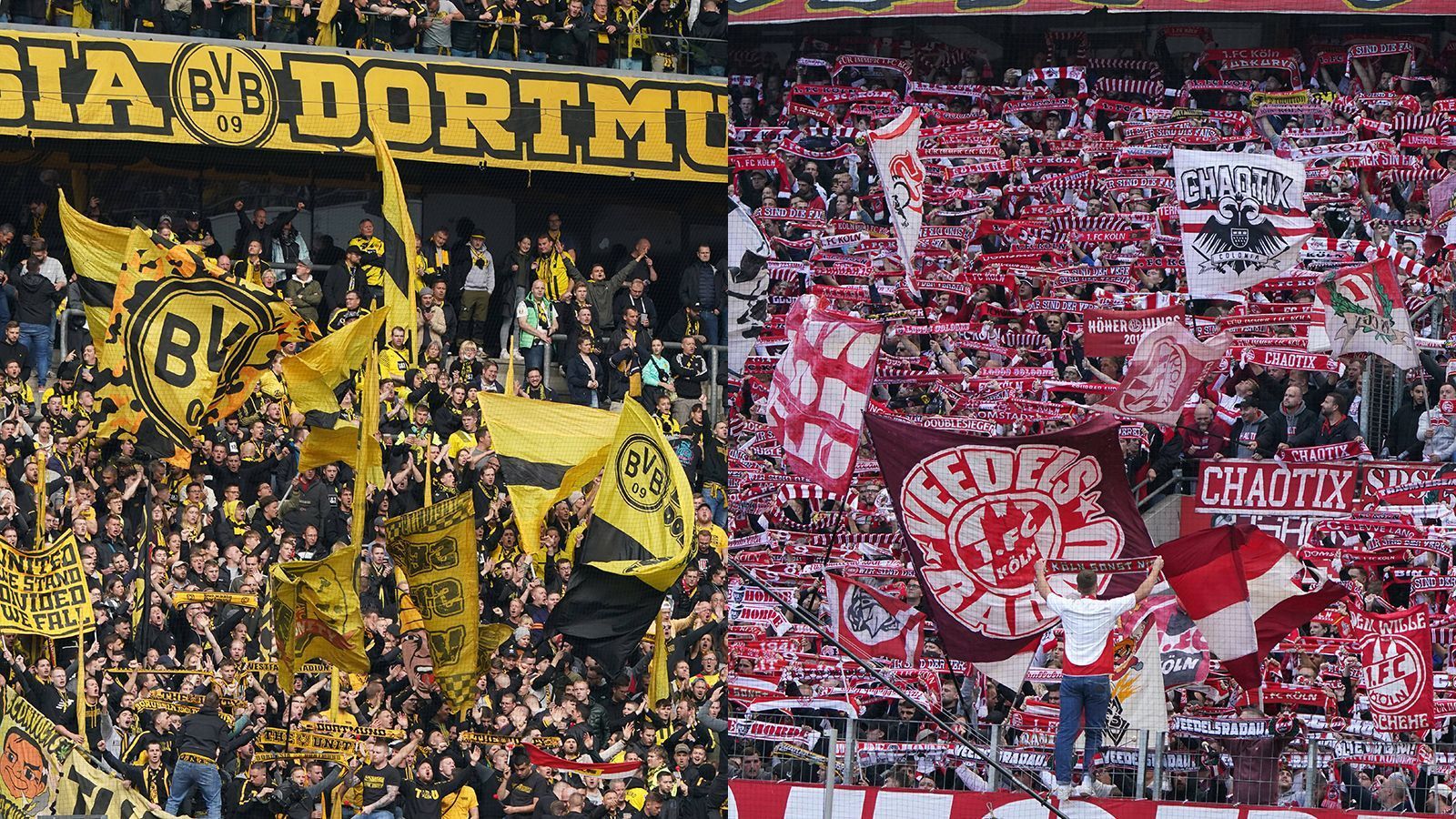 
                <strong>Borussia Dortmund & 1. FC Köln</strong><br>
                Auch zu den Fans des 1. FC Köln haben die Anhänger von Borussia Dortmund eine gute Beziehung. Zwar herrscht (derzeit) keine offizielle Fan-Freundschaft zwischen beiden Klubs, allerdings sind sich beide Fan-Lager durchaus sympathisch. Dies ist vor allem bei der "jüngeren" Fan-Generation der Fall, da die Kölner dem BVB 2011 zur ersten Meisterschaft unter Trainer Jürgen Klopp verhalfen, als sie am 32. Spieltag mit 2:0 gegen Bayer Leverkusen gewannen und dem BVB so den Weg zum Titel ebneten.
              