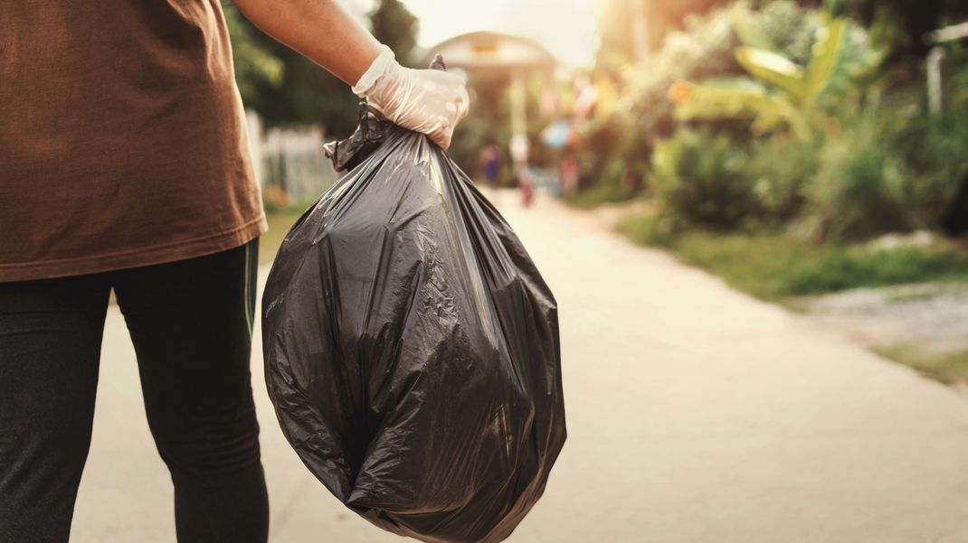 Kleine Plagegeister im Müll: 12 einfache Tipps und Hausmittel, um Maden effektiv loszuwerden.