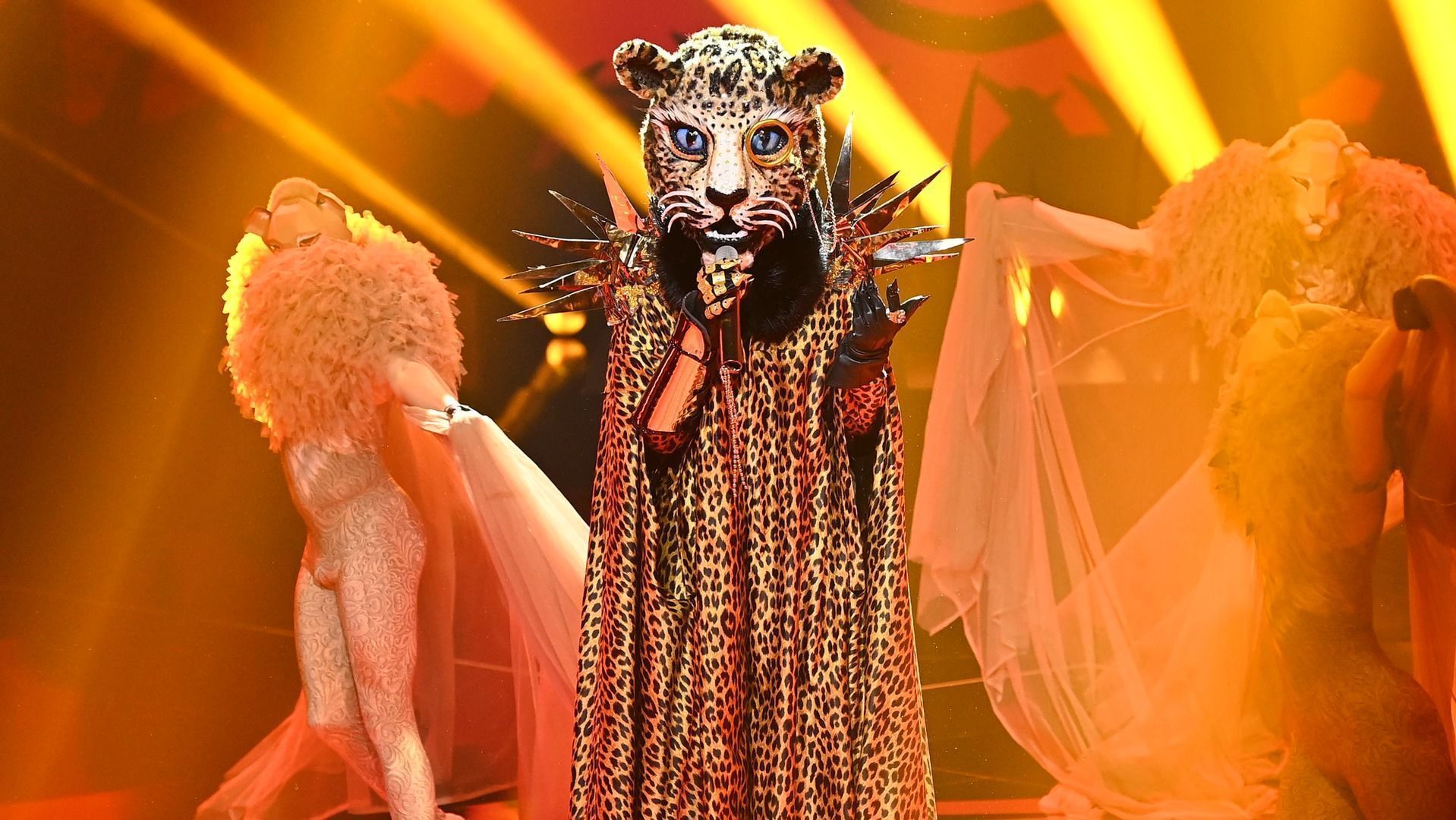 The Masked Singer Zeigt Das Dass Der Leopard Doch Nicht Blind Ist