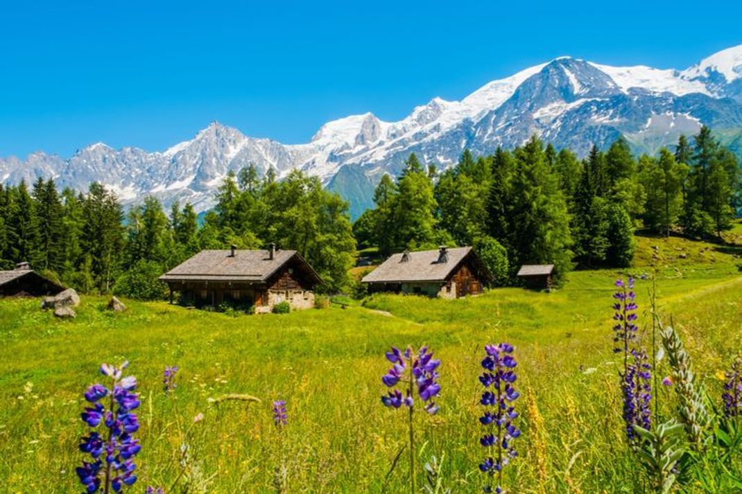 Tour du Mont Blanc – Den höchsten Alpenberg zu Fuß umrunden