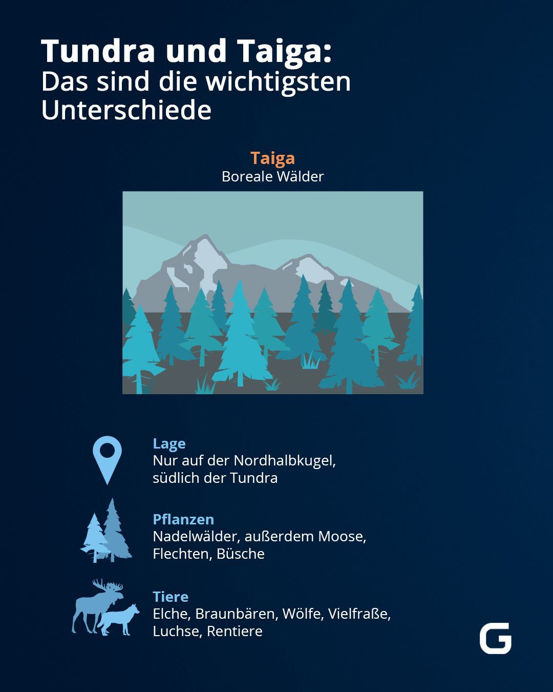 Die Grafik zeigt die Merkmale der Taiga