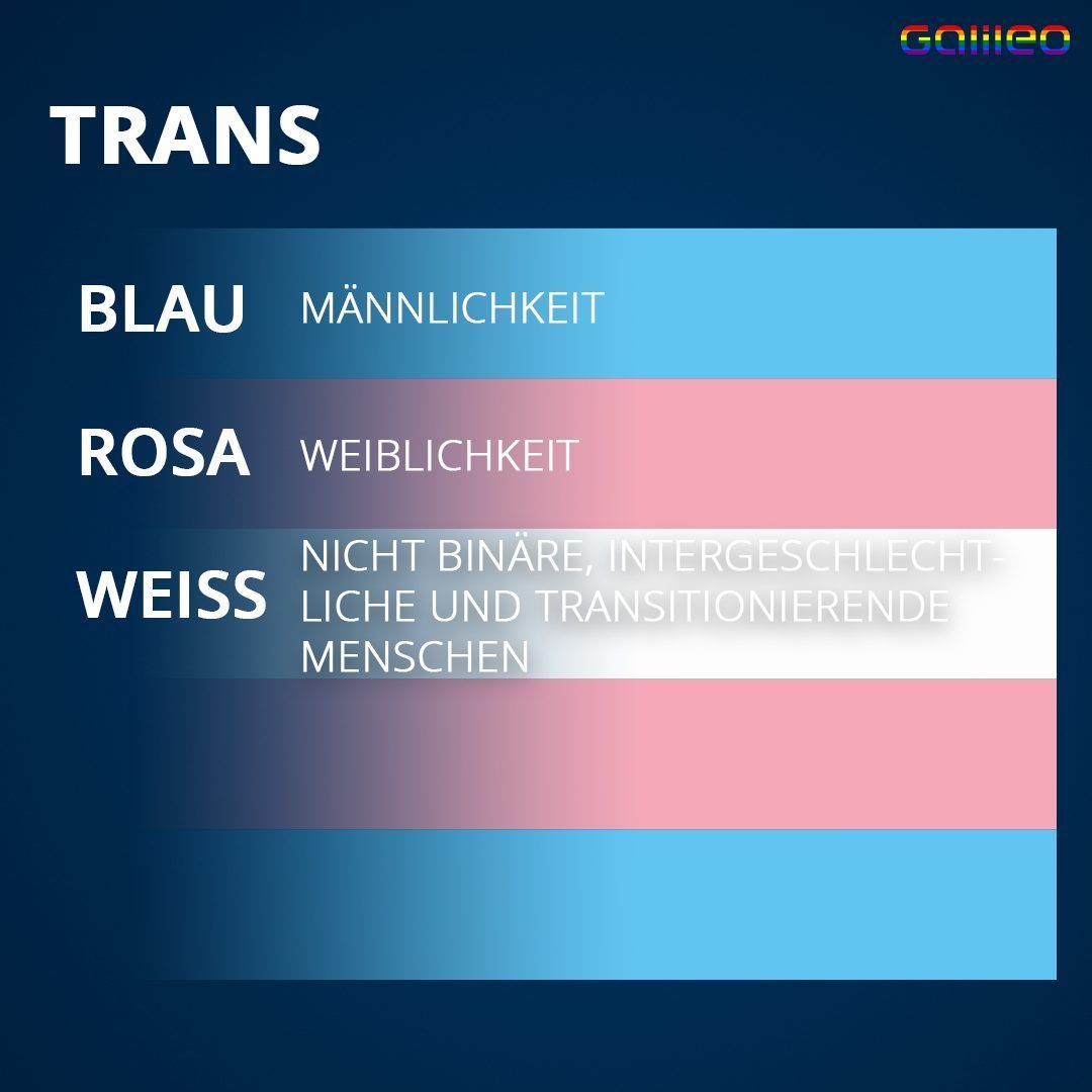 Das bedeuten die Farben der Trans-Flagge.