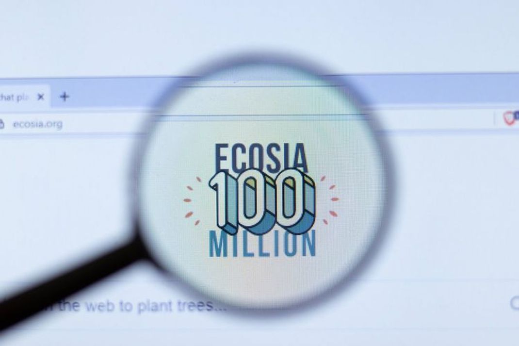Ecosia – ein Browser mit Herz für die Umwelt