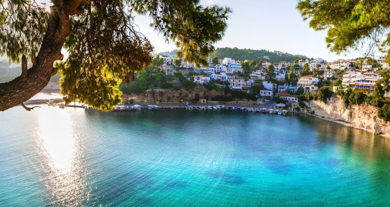 Auf Alonissos blüht einem was! Und es duftet herrlich. Auf der Insel der Nördlichen Sporaden wachsen Aleppo-Kiefern, Fichten, Flieder, Alpen-Veilchen, Weinreben, Heilkräuter, Oliven-, Feigen- und Mandelbäume. An den wilden Küsten-Abschnitten tummelt sich die Mönchsrobbe, das seltenste Säugetier Europas. Wer den "Eselspfad" hinauf ins alte Bergorf - den Zentralort, den die Griech:innen "Chora" nennen - nimmt, wird mit einer 1a