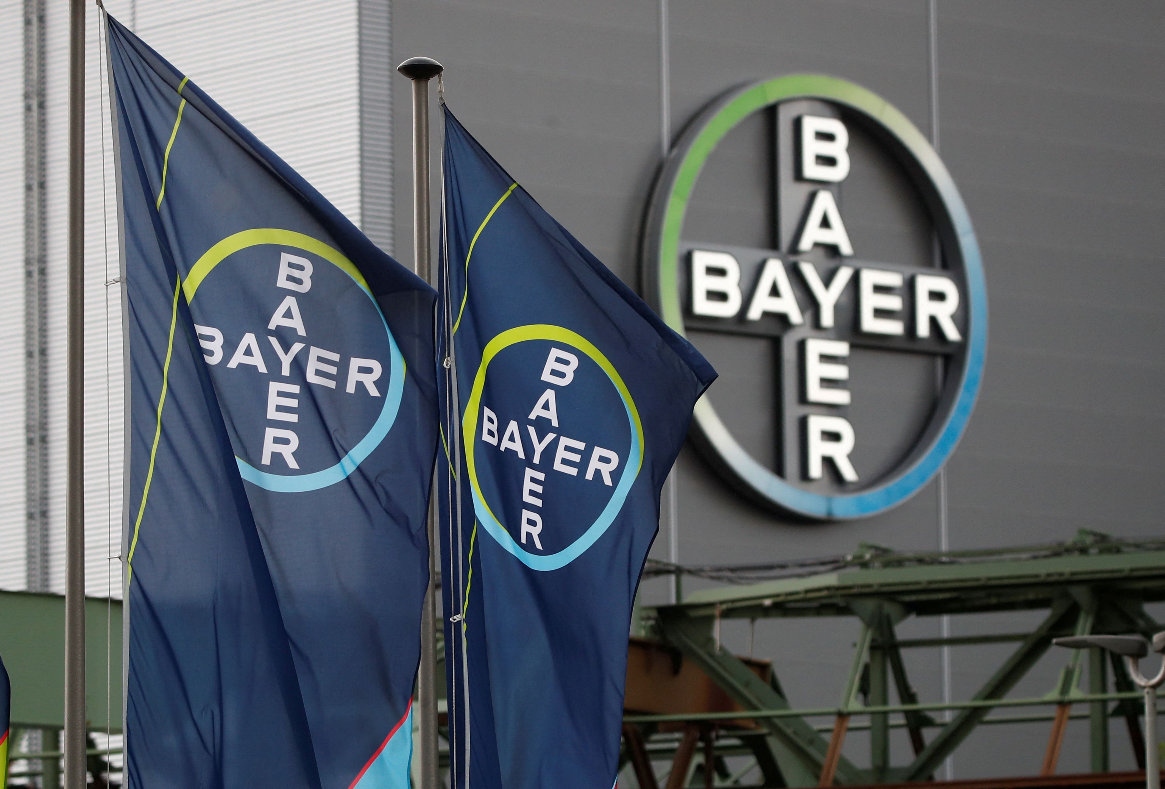 Massiver Kurseinbruch: Bayer-Aktie Stürzt Nach Hiobsbotschaften Ab