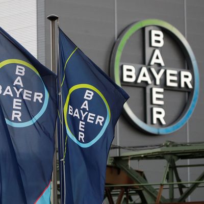 Bayer