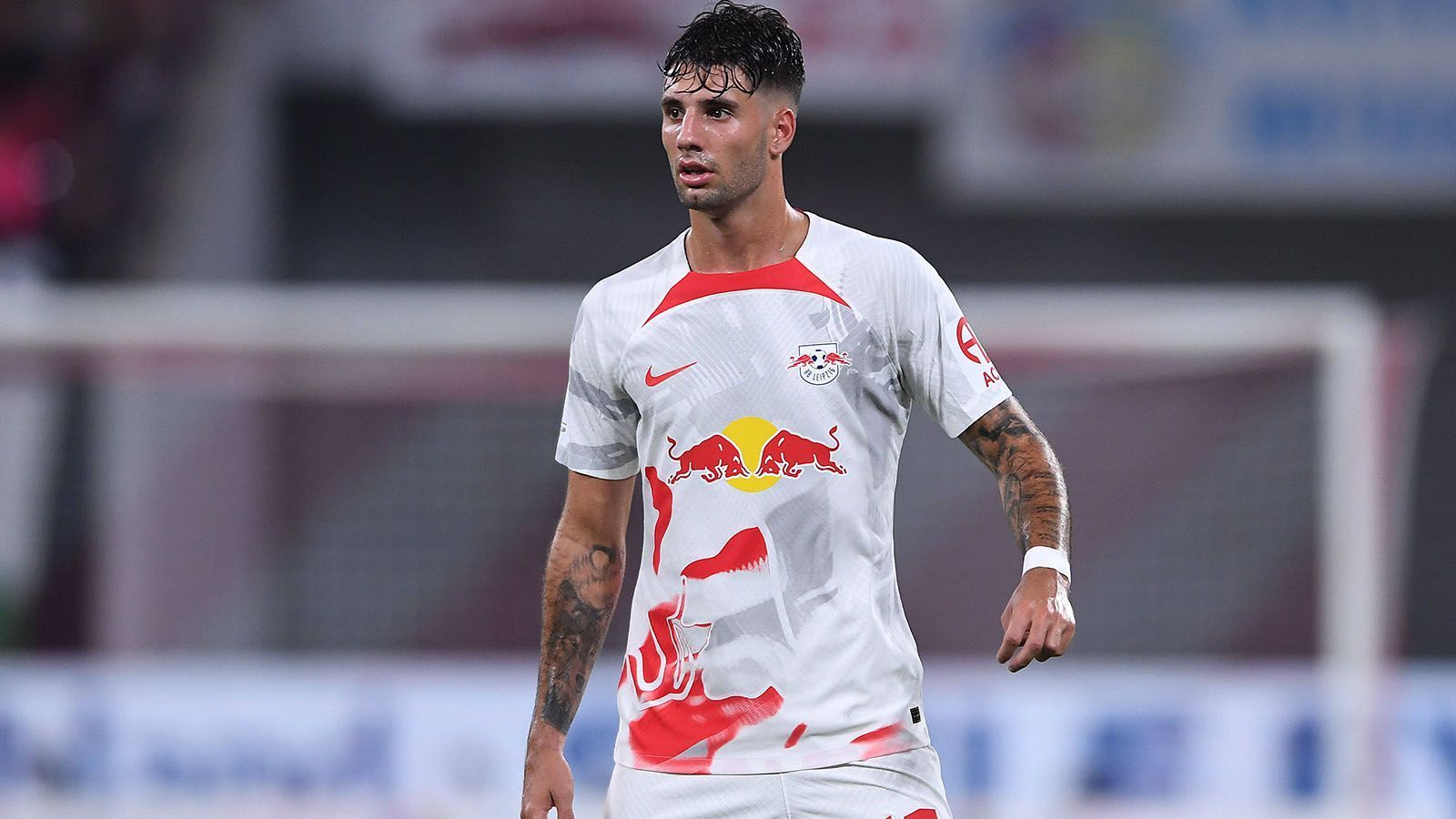 
                <strong>RB Leipzig</strong><br>
                &#x2022; Red Bull Salzburg (u.a. Dominik Szoboszlai) (17 Spieler)<br>&#x2022; zahlreiche Vereine mit zwei Spielern (z.B. Manchester City, Bayer 04 Leverkusen, Paris Saint-Germain)<br>
              