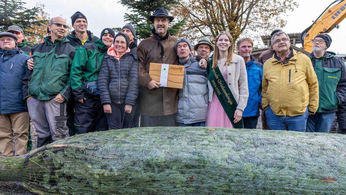 Markus Söder mit der SOS-Dorfgemeinschaft Hohenroth vor einem eingenetzten Christbaum bei Eröffnung der Christbaumsaison 2024 im Christbaumdorf Mittelsinn. 