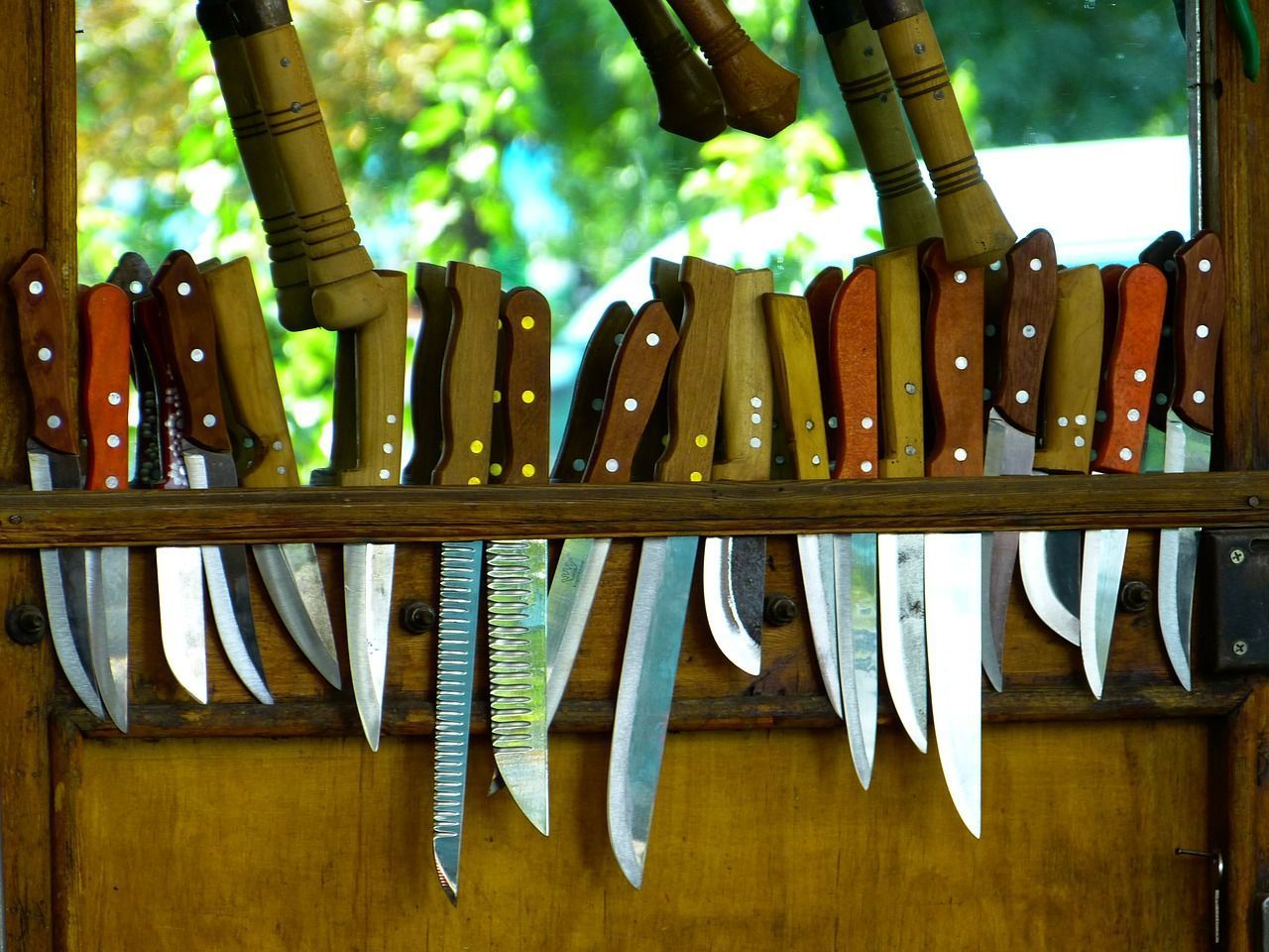 Um Teichpflanzen wie Schilf oder Winterschachtelhalm zu schneiden, brauchen Sie ein sehr scharfes Messer. So geht die Arbeit leichter.