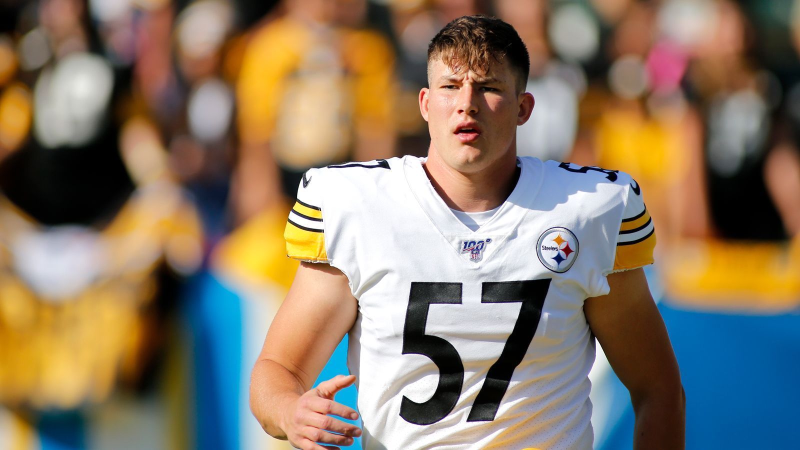 
                <strong>Long Snapper</strong><br>
                AFC: Kameron Canaday (Pittsburgh Steelers, im Bild) - 129.915 - NFC: Hunter Bradley (Green Bay Packers) - 118.823
              