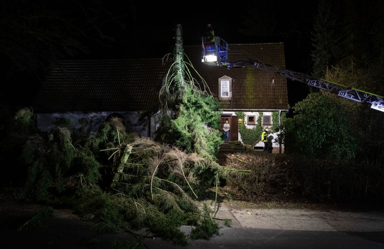 In ganz Deutschland kam es zu umgestürzten Bäumen. Die Behörden mahnen deshalb noch immer zur Vorsicht.