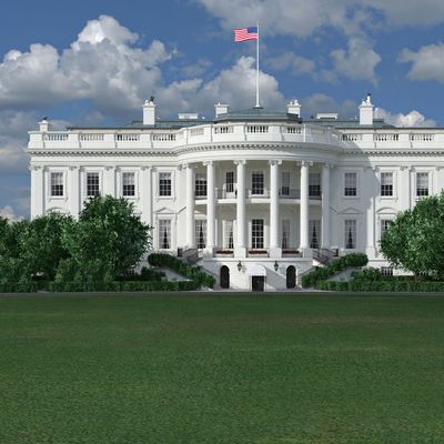 the white house