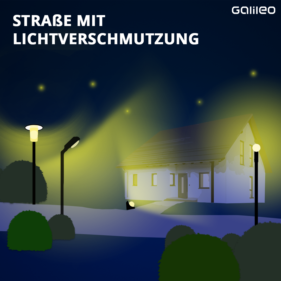 Lichtverschmutzung: So sieht eine Straße mit Lichtsmog aus. Man sieht deutlich weniger Sterne am Nachthimmel. 