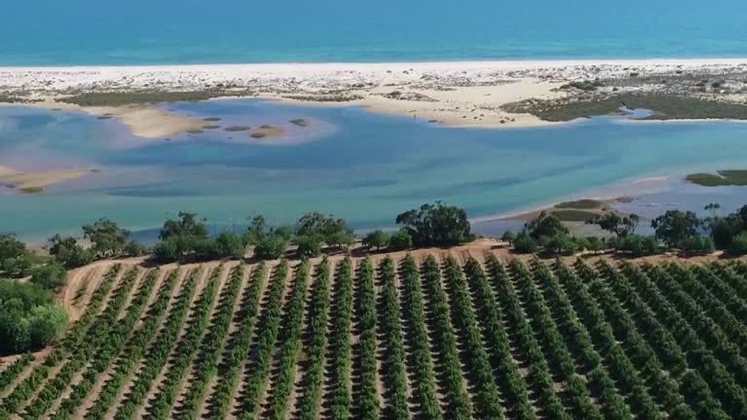 LAGOS, TAVIRA AND LISBON, PORTUGAL