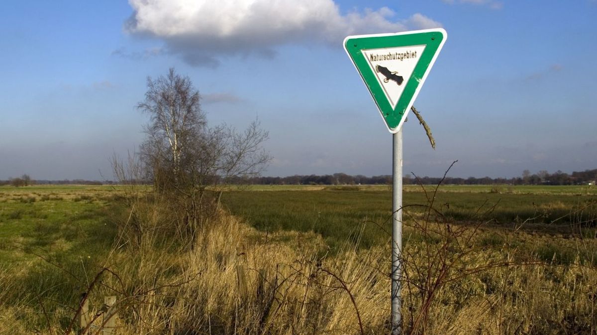 Naturschutzgebiet Niedersachsen Ullstein Bild Dtl Kontributor Gettyimages 544311019