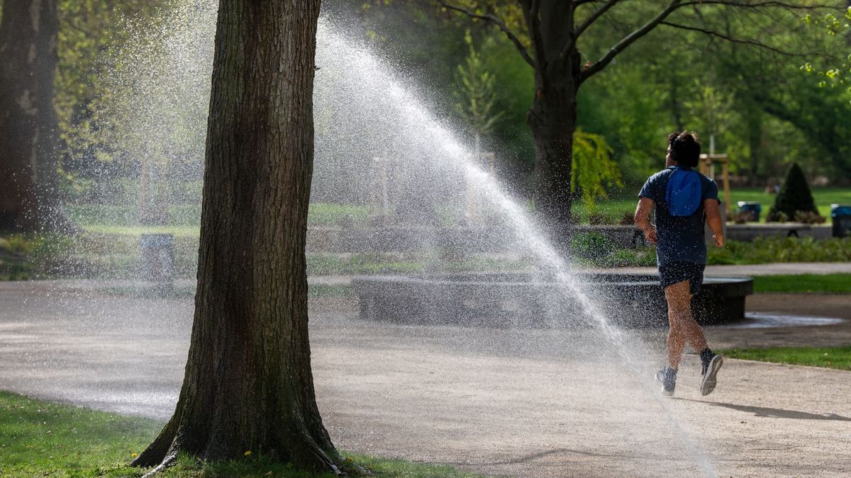 Joggen im Treptower Park