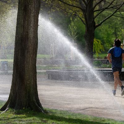 Joggen im Treptower Park