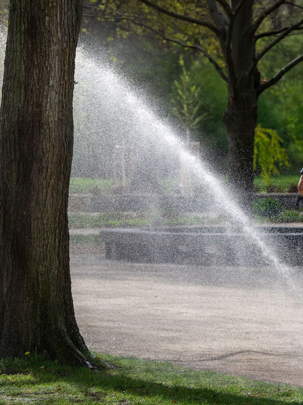 Joggen im Treptower Park