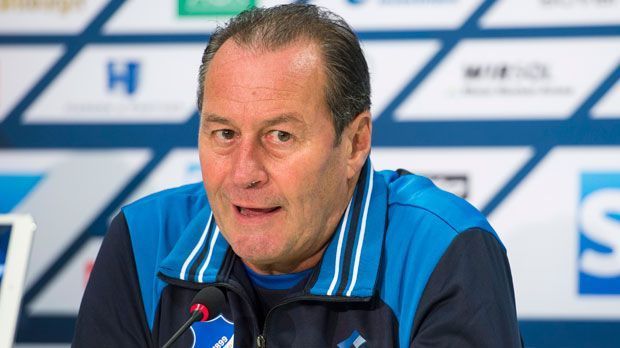 
                <strong>Huub Stevens (1899 Hoffenheim)</strong><br>
                Huub Stevens: Im Kraichgau wird angeblich seit Jahren gut bezahlt. Ex-Trainer Markus Gisdol bekam rund zwei Millionen Euro im Jahr. Wie viel jedoch Huub Stevens bis zum Saisonende in Hoffenheim verdient ist noch nicht bekannt. 
              