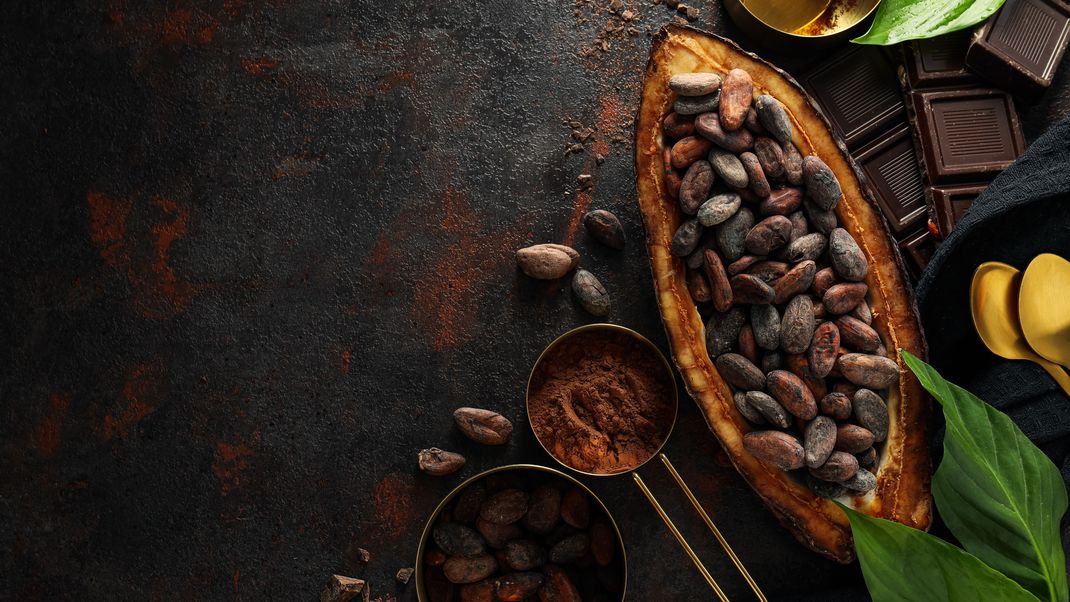 Concept of fresh and aromatic food - cacao beans